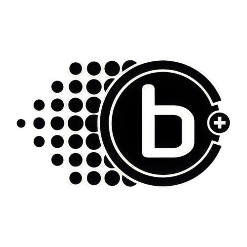 Picture of Braille Battery, Inc