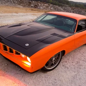 JOHNSON & JOHNSON  ’CUDA
