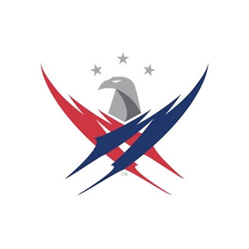 Picture of Gary Sinise Foundation