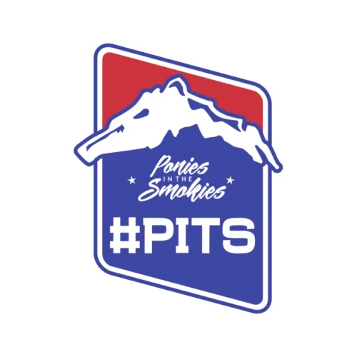 Picture of Ponies in the Smokies